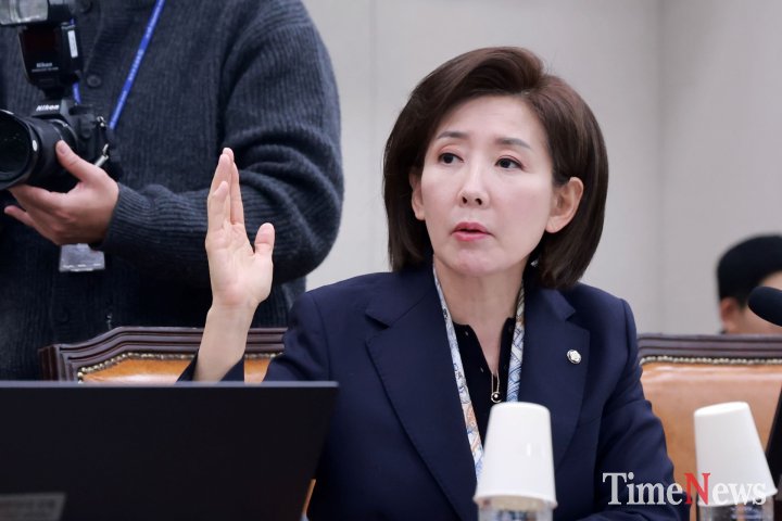 의사진행 발언 요청하는 국민의힘 나경원 의원