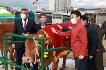 한우산업의 새바람, 나는 경상북도 한우입니다!