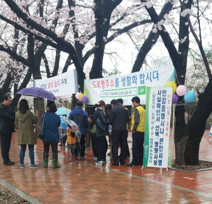 진해구 군항제 기간동안 '평소 이용하면 편리한 민원시책' 홍보