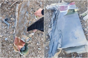 '적진 속 48시간' 미군판 라이언 일병 구하기… 특수부대 수백 명 투입해 WSO 구조