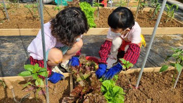 여수시농업기술센터, ‘2025 학교 도시농부 자투리텃밭’ 운영