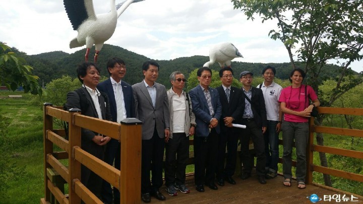황새 봉순이 고향마을에서 화포천 방문