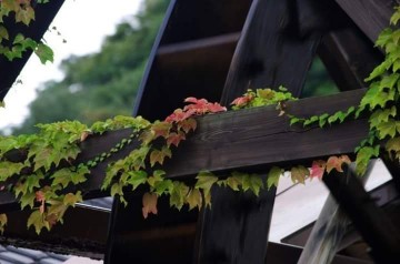 영주시, 제일교회·영광이발관 등이 등록문화재 된다.