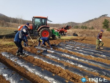 무공봉사회, 배추 농가 일손돕기 봉사로 구슬땀