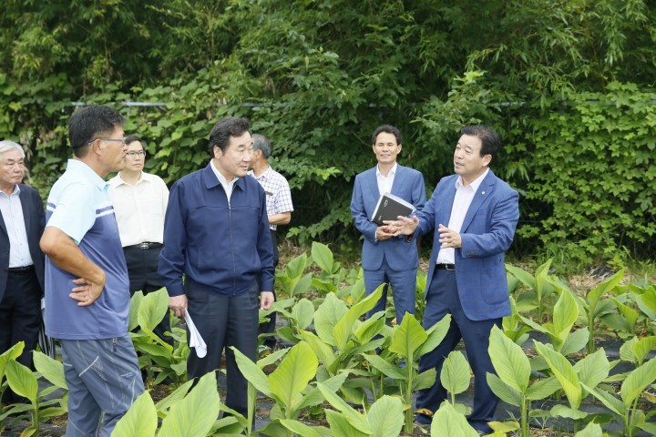 이낙연 도지사, 귀농인 영농현장 방문