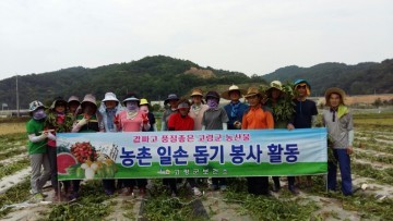 고령군 보건소 쌍림면 안림 감자 수확 작업 농가 봉사활동