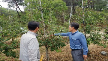 국립원예특작과학원 사과연구소 우박 피해지역 현장기술지원