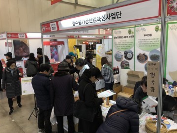 “영주 부석태 엄지척” 영주 부석태, 부산국제식품박람회서 ‘인기 짱