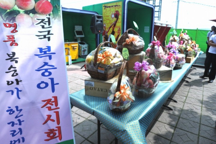13~15여주에서 경기 남부 복숭아 홍보행사 열려