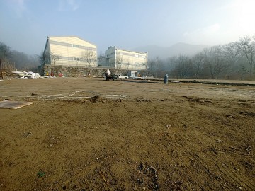 불법적으로 운영한 검산동일대 육견 경매장 폐쇄