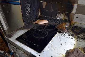 대전소방본부 “반려동물 화재 주의”…3년간 40건 발생