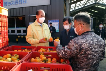 강영석 상주시장, 감 농가 및 공판장 방문 관계자 격려