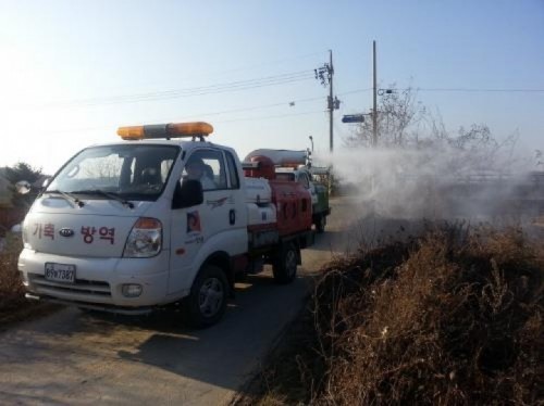 안성시, 구제역 의심축 소 1두 구제역 확진 판정