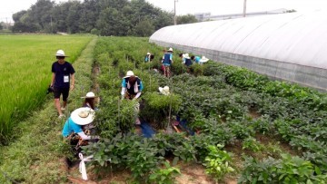 한밭대, 논산시 사월리 주민들에게 감사의 마음 전해