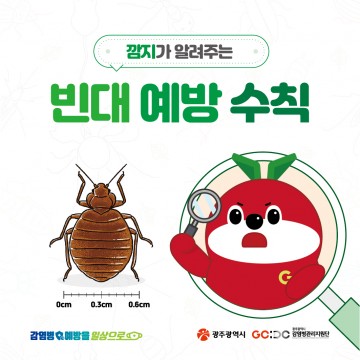 광주시, 빈대 총력대응체계 구축…13개 부서 협업