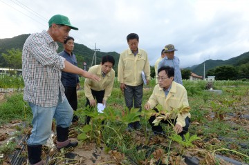 엄태항 봉화군수, 폭염에 농가 방문 