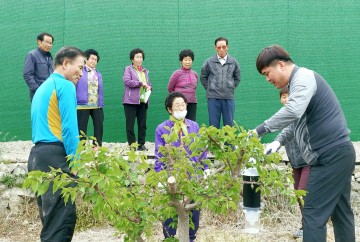 달성군, 친환경 과일 생산에 박차 