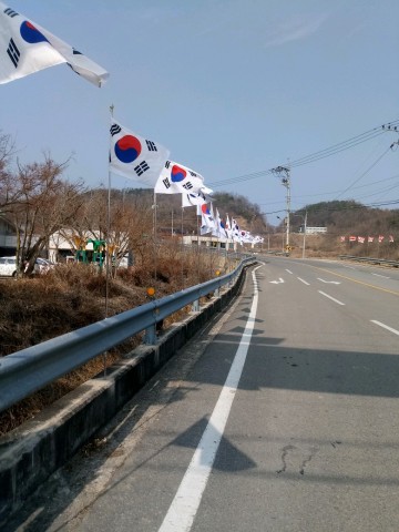성주 금수면 아름다운 태극기 물결