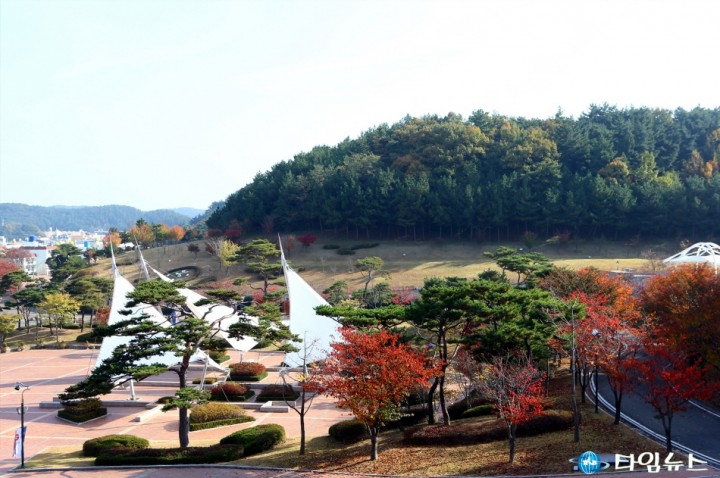 포항시, 공원녹지시설 안전관리 종합대책 수립 시행