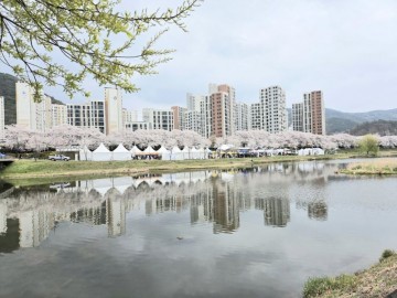 순천시 삼산동, 제12회 용당뚝방길 벚꽃축제 개최 