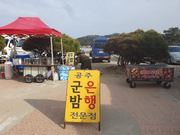 24년 민원1번지 꽃지 노점상 강제철거.. '전설의 노점 군밤할매' 등장 살얼음판... 