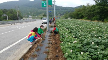 수안보면 새마을협, 온천관광지 꽃동산 조성