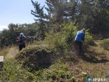 충북남부보훈지청, 추석맞이 애국지사 묘소 벌초 실시