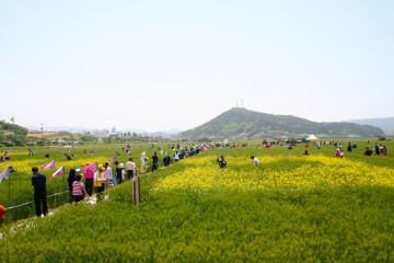 영광군, 영광찰보리문화축제 개최