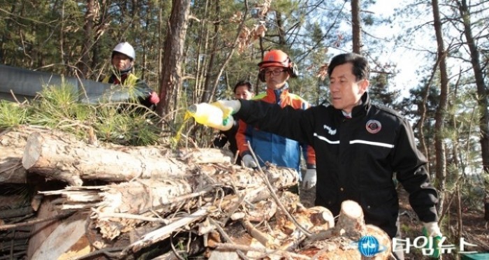 이강덕 시장, 소나무재선충병 방제사업장 방문