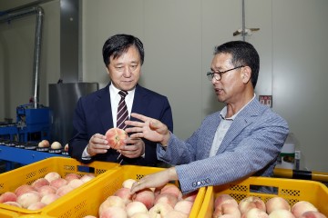 황천모 상주시장, 농산물 가격 하락에 현장 찾아 농민 격려