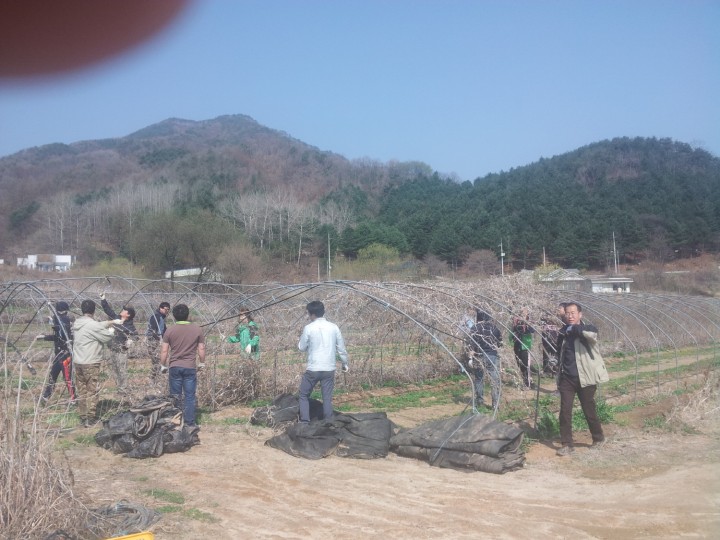 농촌진흥청 자매 결연부락 봉사활동