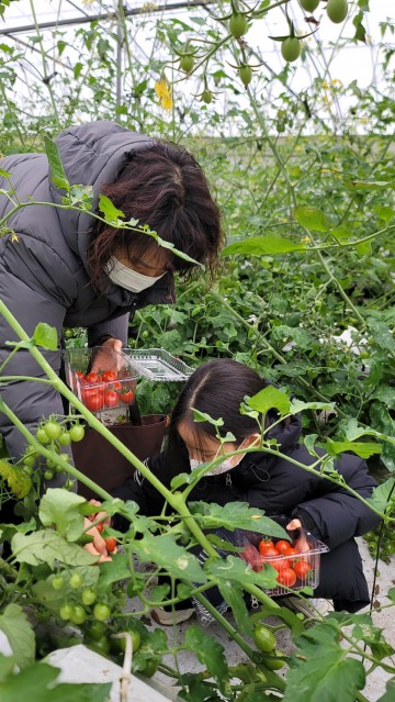 “청년농부와 함께 농촌체험해요"
