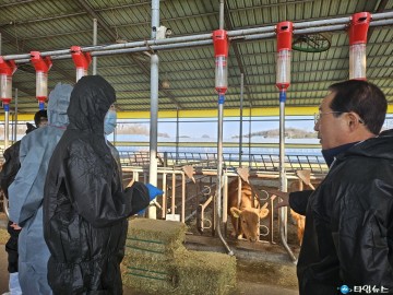충북도, 구제역 확산 차단 총력…상반기 백신 일제접종 독려