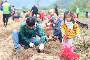 성주군, 메뚜기잡이 체험축제’전국 관광객 유치