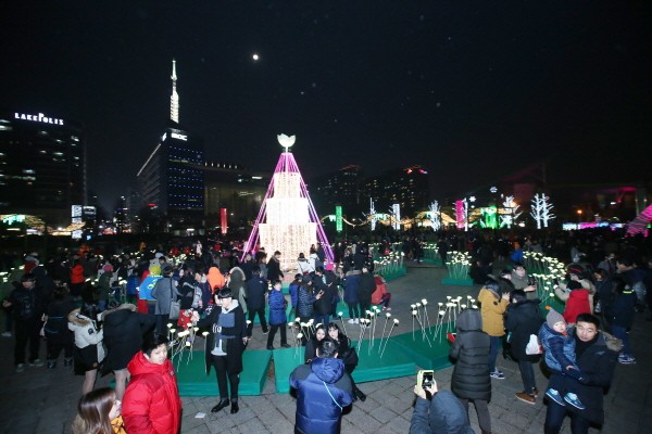 2015호수겨울꽃빛축제 성료