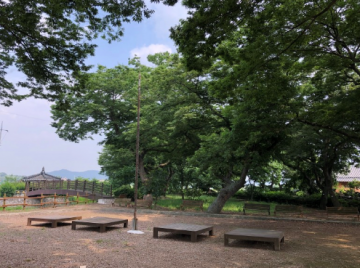 함평 모평마을숲 '국가산림문화자산' 지정