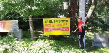 경북도, 가을철 임산물 불법채취 집중단속 실시