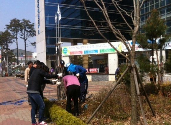 군산시립도서관, 봄맞이 도서관 주변 나무 심기