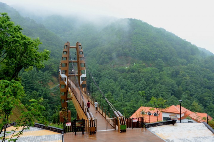 증평군, 길이 230m 좌구산 명상구름다리 개통