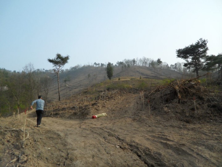 푸르름 가득한 녹색진천 만들기에 총력