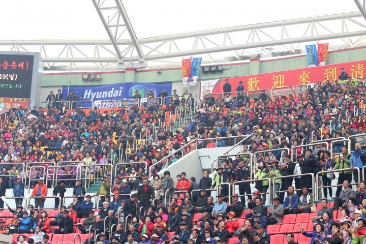 청도 소싸움축제 폐막