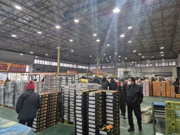 충주 농수산물도매시장, 설 연휴 경매 최대 5일 휴장