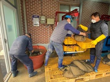 구례군, 볍씨 온탕 소독 지원   