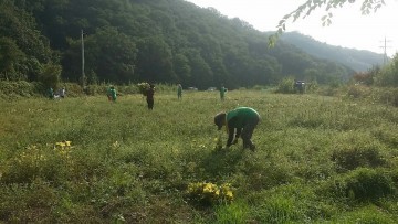  고구마, 들깨 수확을 통한 이웃사랑 나눔 활동