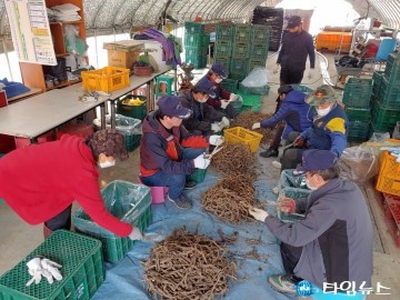 청주시 무공봉사회, '하수오 농가 일손돕기  봉사활동'