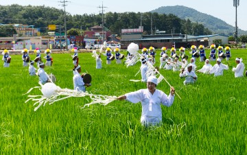 광주 서창 만드리 풍년제 재현