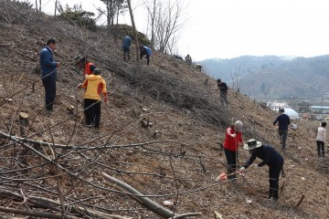 세종시교육청, 제72회 식목일 나무심기 행사 가져