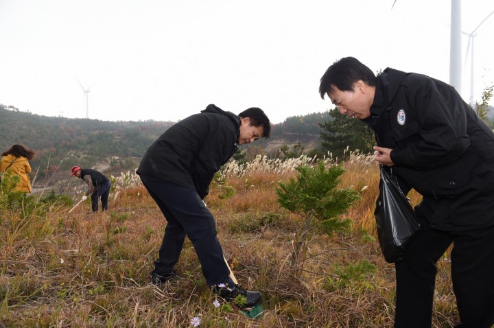 영덕군, 숲 가꾸기의 날 행사 열려