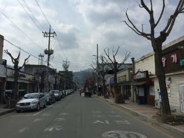 평창동계 올림픽 호스트 시티 가로수 녹지 환경 조성