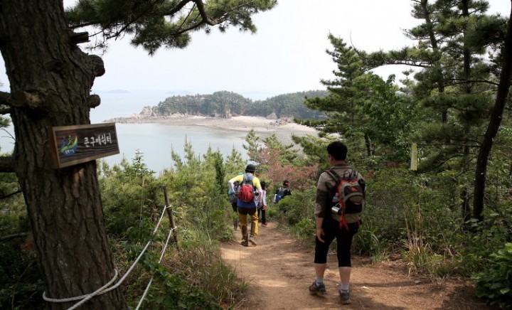 태안군 솔향기길, 걷기 여행길 정비사업 대상지 선정
